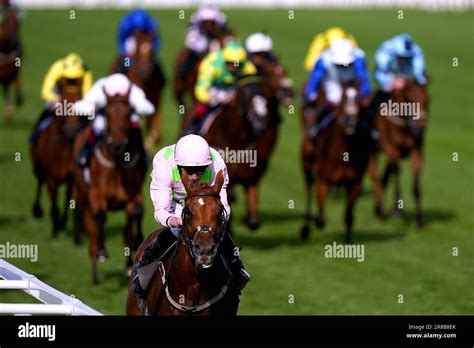 copper horse handicap trends